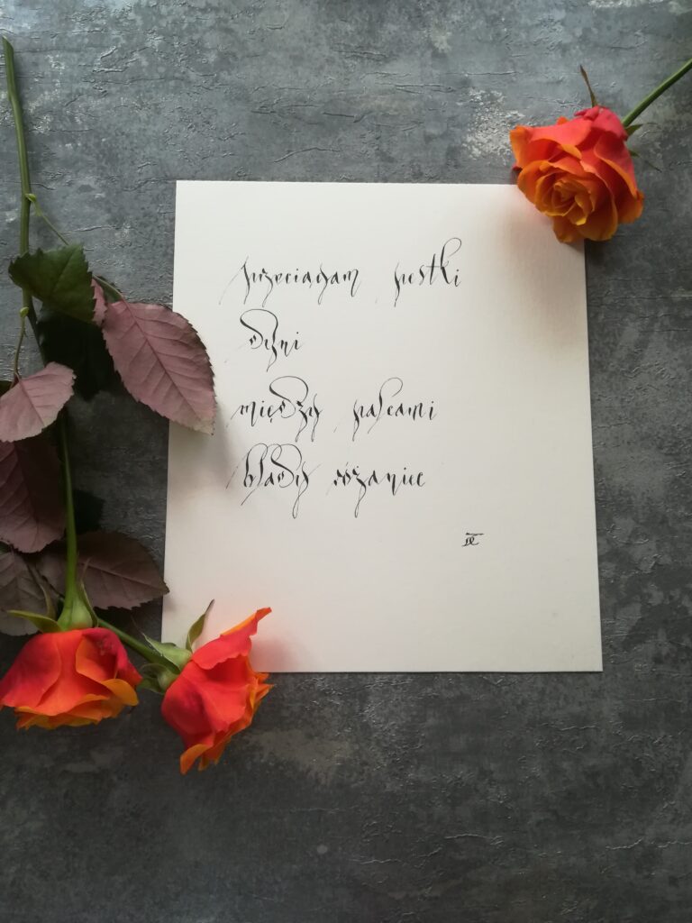 haiku dynia, współczesne haiku, haiku jesień, polish calligraphy, polish haiku